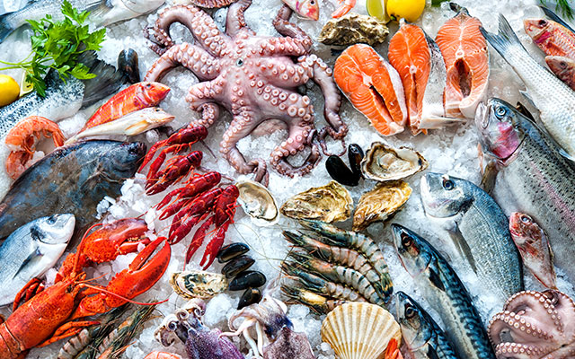 Huge assortment of seafood on ice - Sustainable Seafood Sourcing